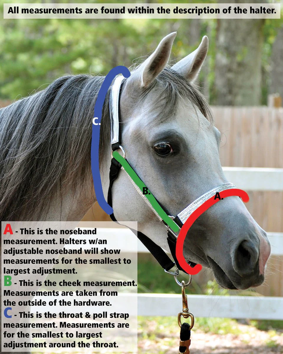 Jeffers Nylon Miniature Horse Halters, 2-Ply, 3/4" - Image 3