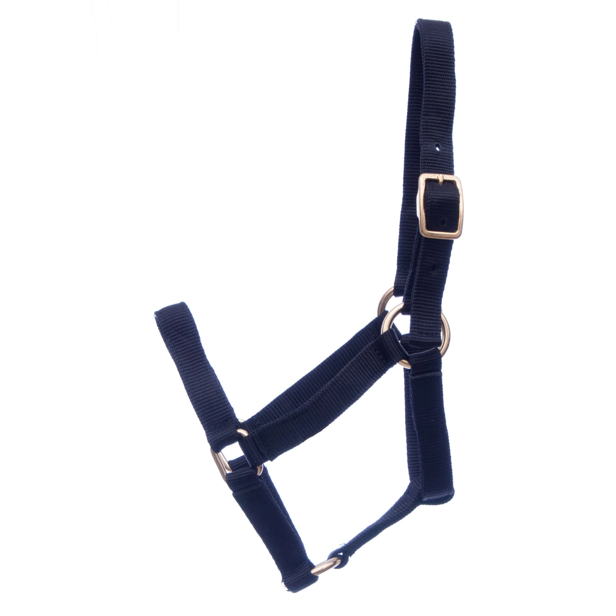 Jeffers Nylon Miniature Horse Halters, 2-Ply, 3/4" - Image 7