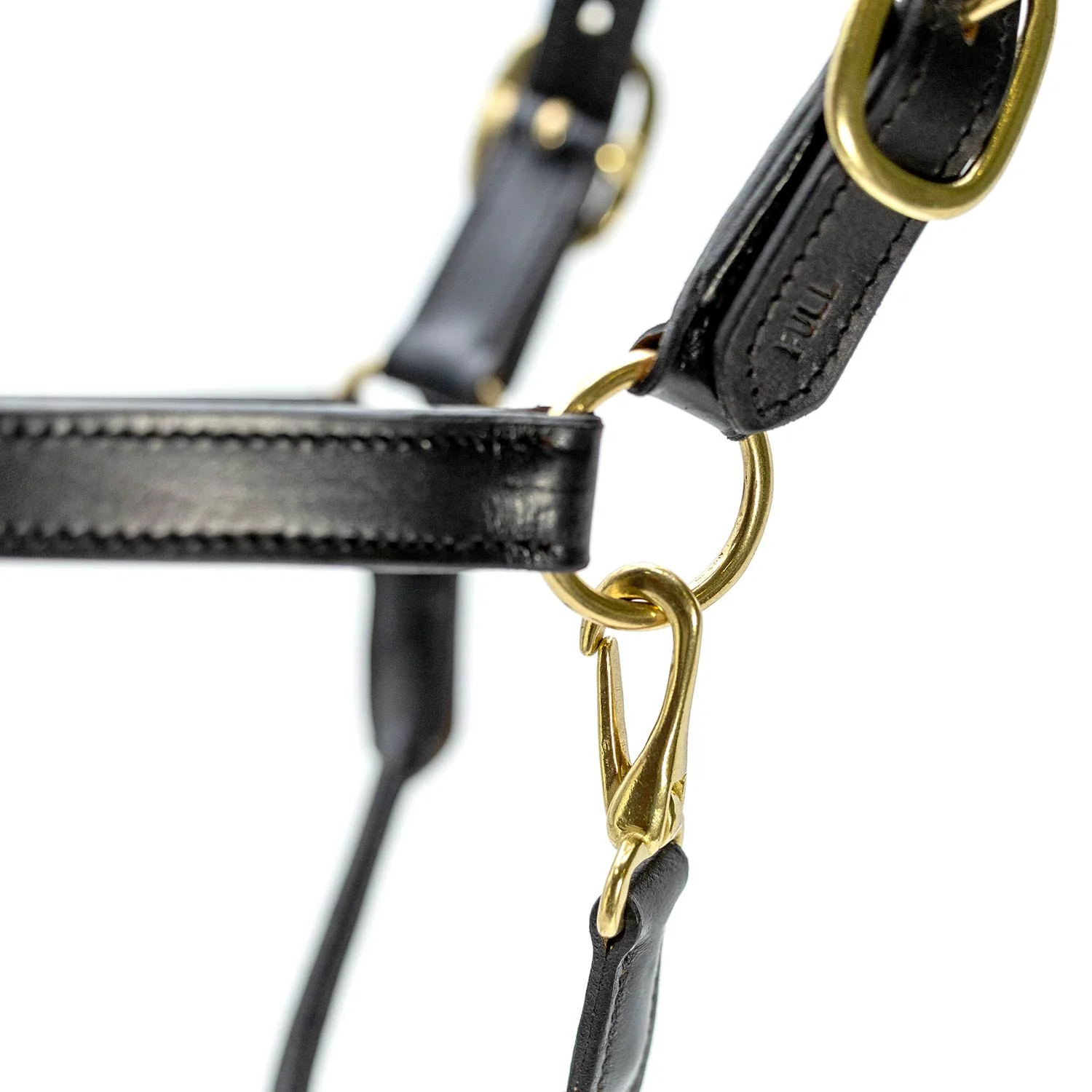 Jeffers Paris Padded Leather Horse Halter with Throat Snap – Adjustable Black Premium Triple Stitching - Image 3