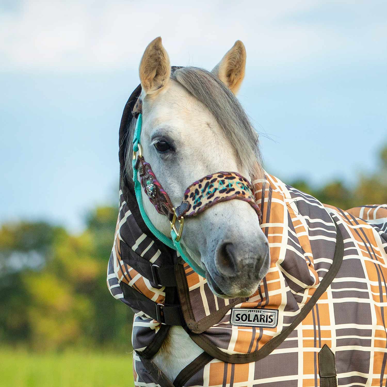 Jeffers Pony Poppins Solaris Horse Neck Rug, 1200 Denier / 240g Fill, Brown & Cream Plaid - Image 2