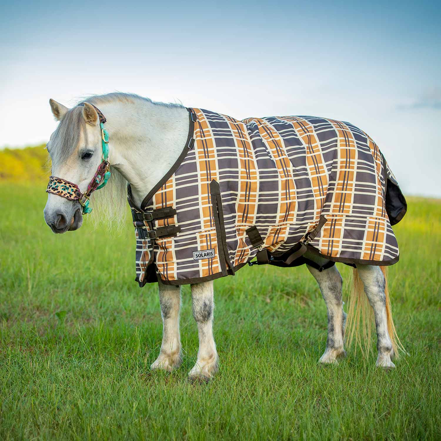 Jeffers Pony Poppins Solaris Horse Turnout Sheet for Ponies, Brown & Cream Plaid - Image 4