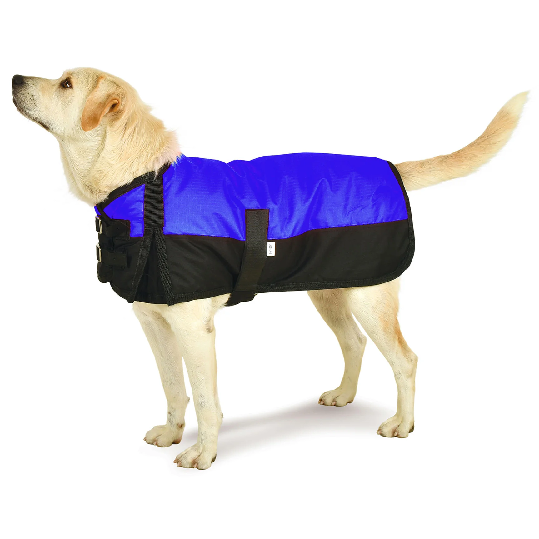 Jeffers Premium Winter Dog Coat - Image 5