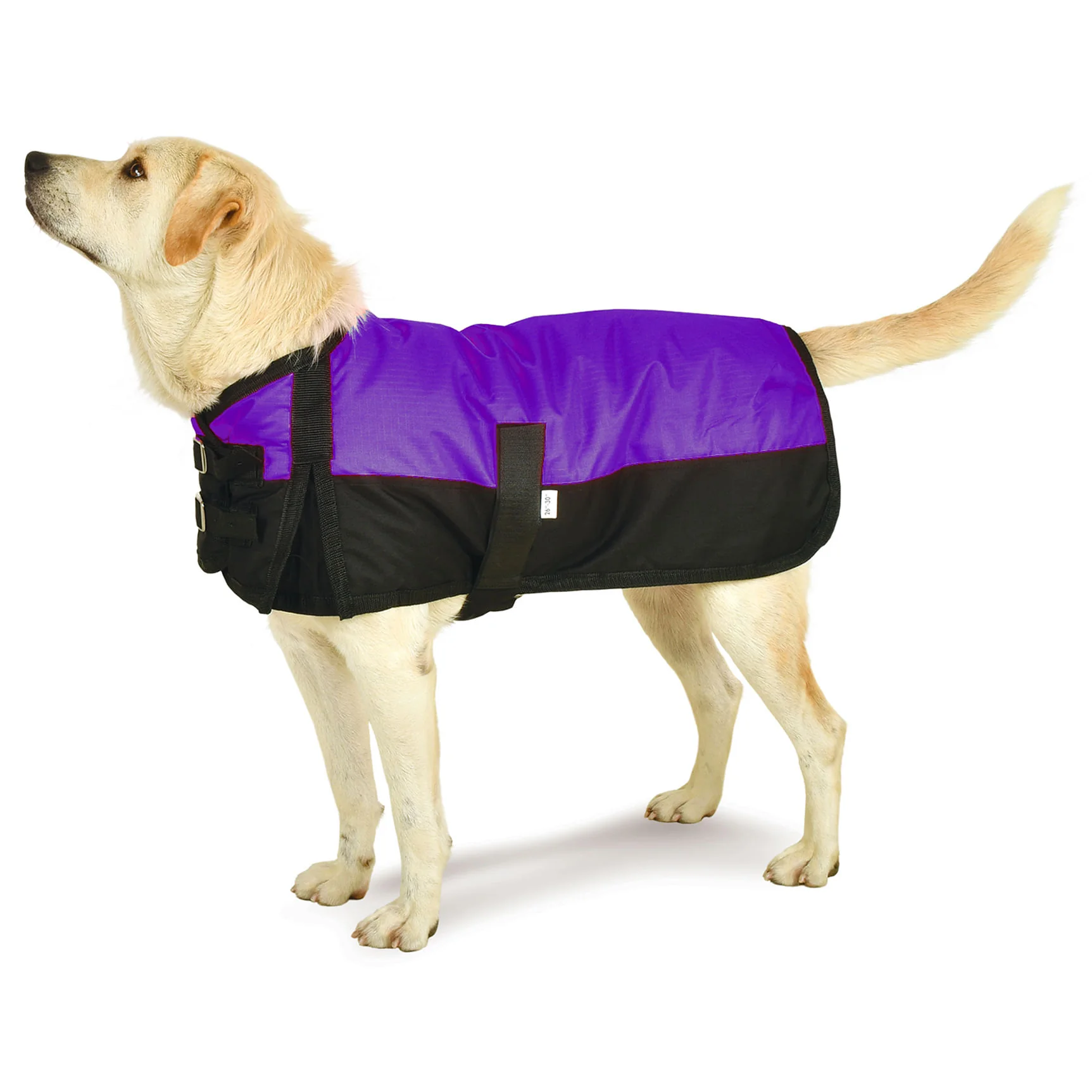 Jeffers Premium Winter Dog Coat - Image 7