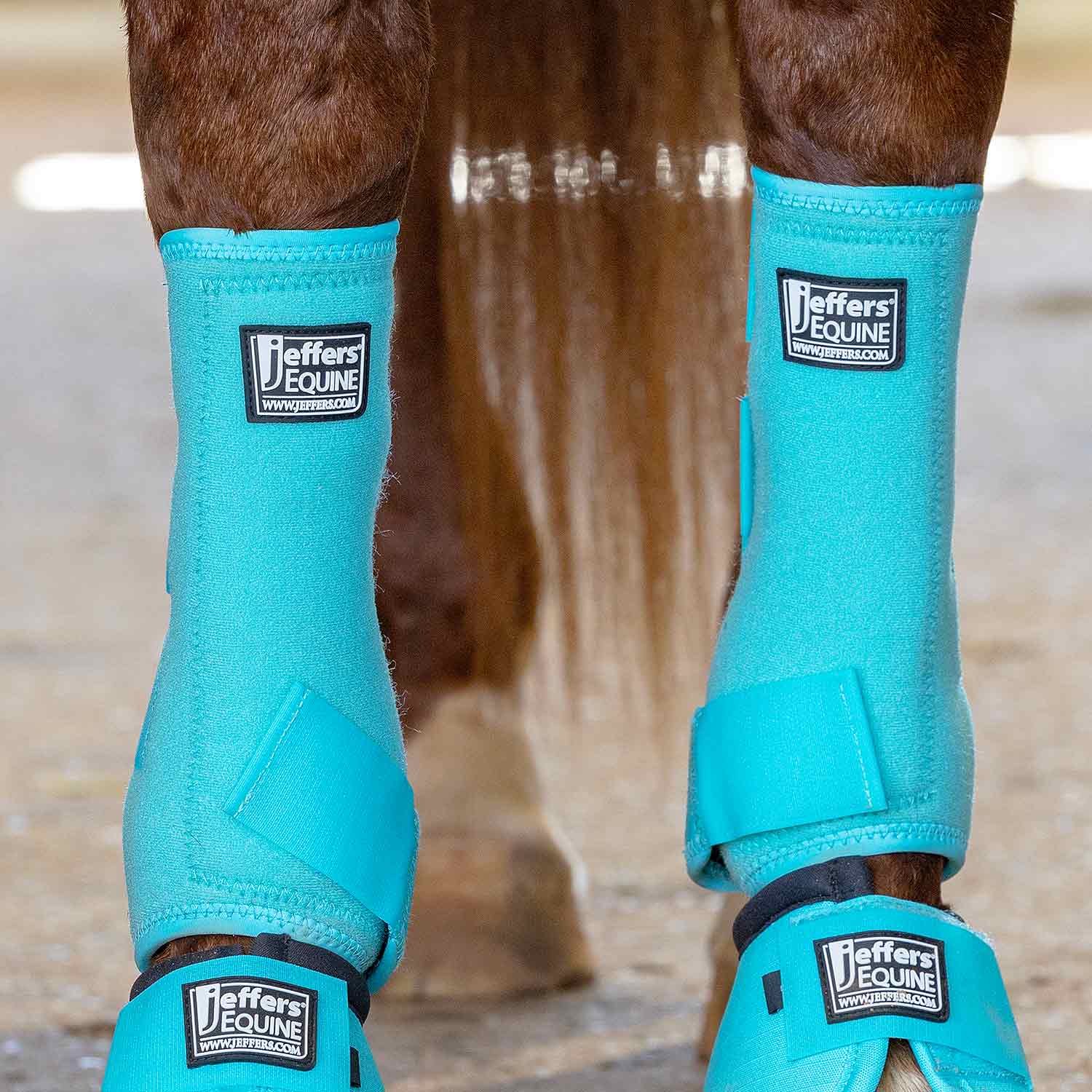 Jeffers Protective Horse Boots, Solid Colors - Image 12