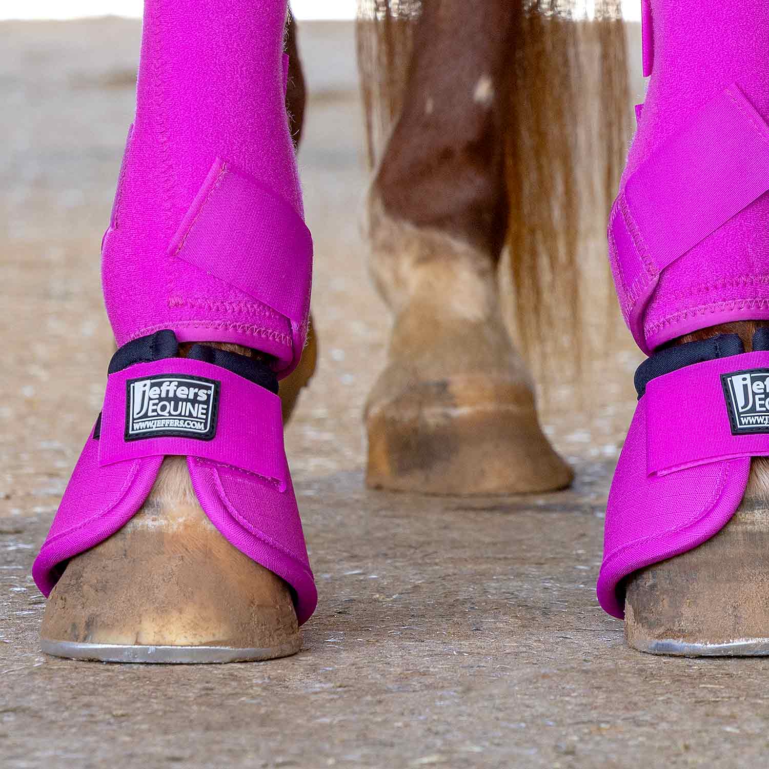 Jeffers Protective Horse Boots, Solid Colors - Image 18