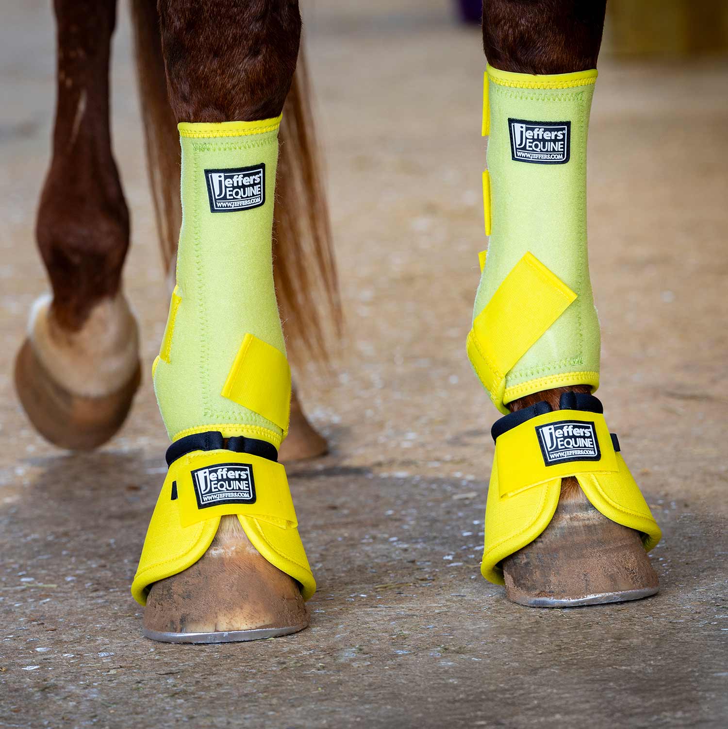 Jeffers Protective Horse Boots, Solid Colors - Image 25