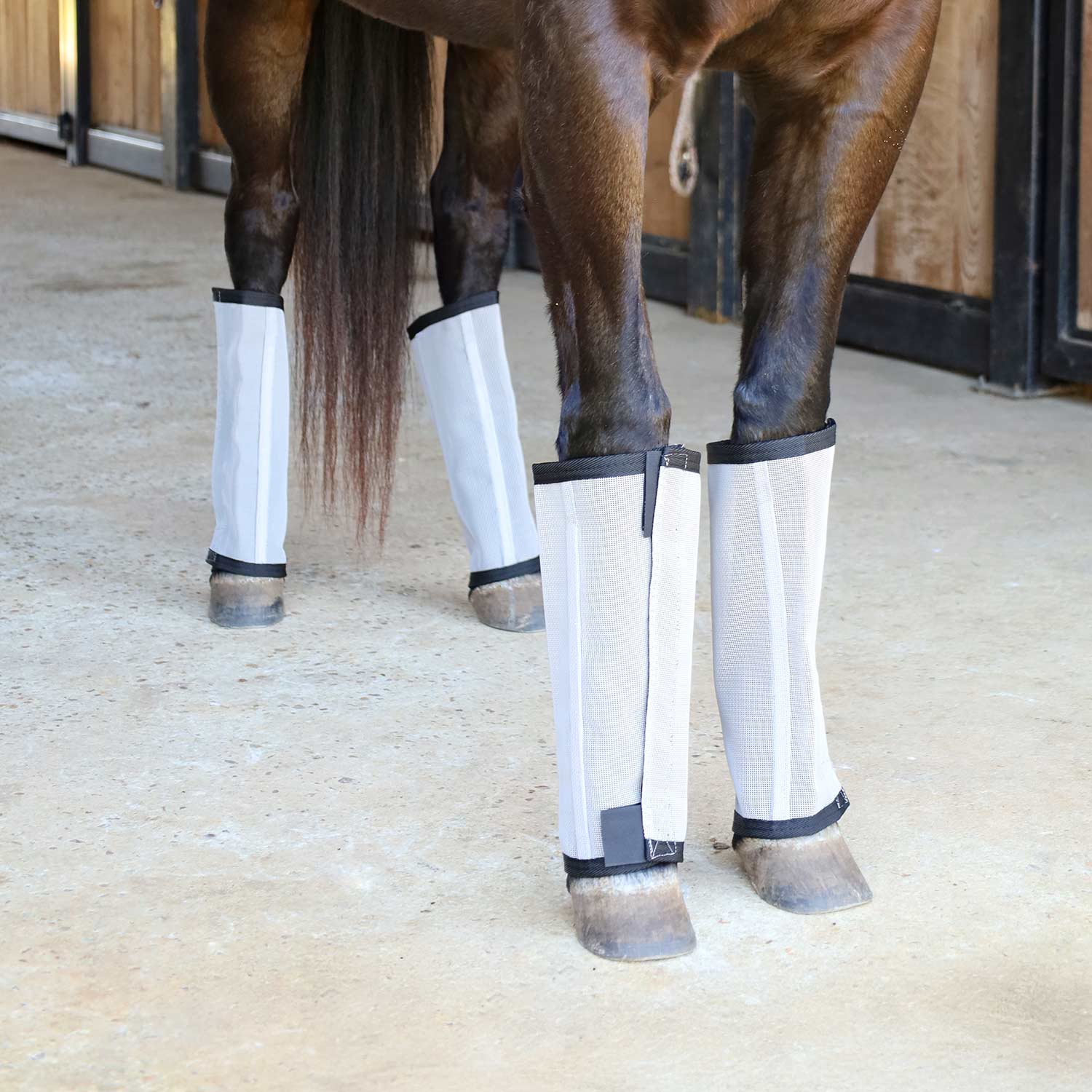 Jeffers Romper Stomper "Stomp-Free" Fly Boots for Horses, 4 pack - Image 10