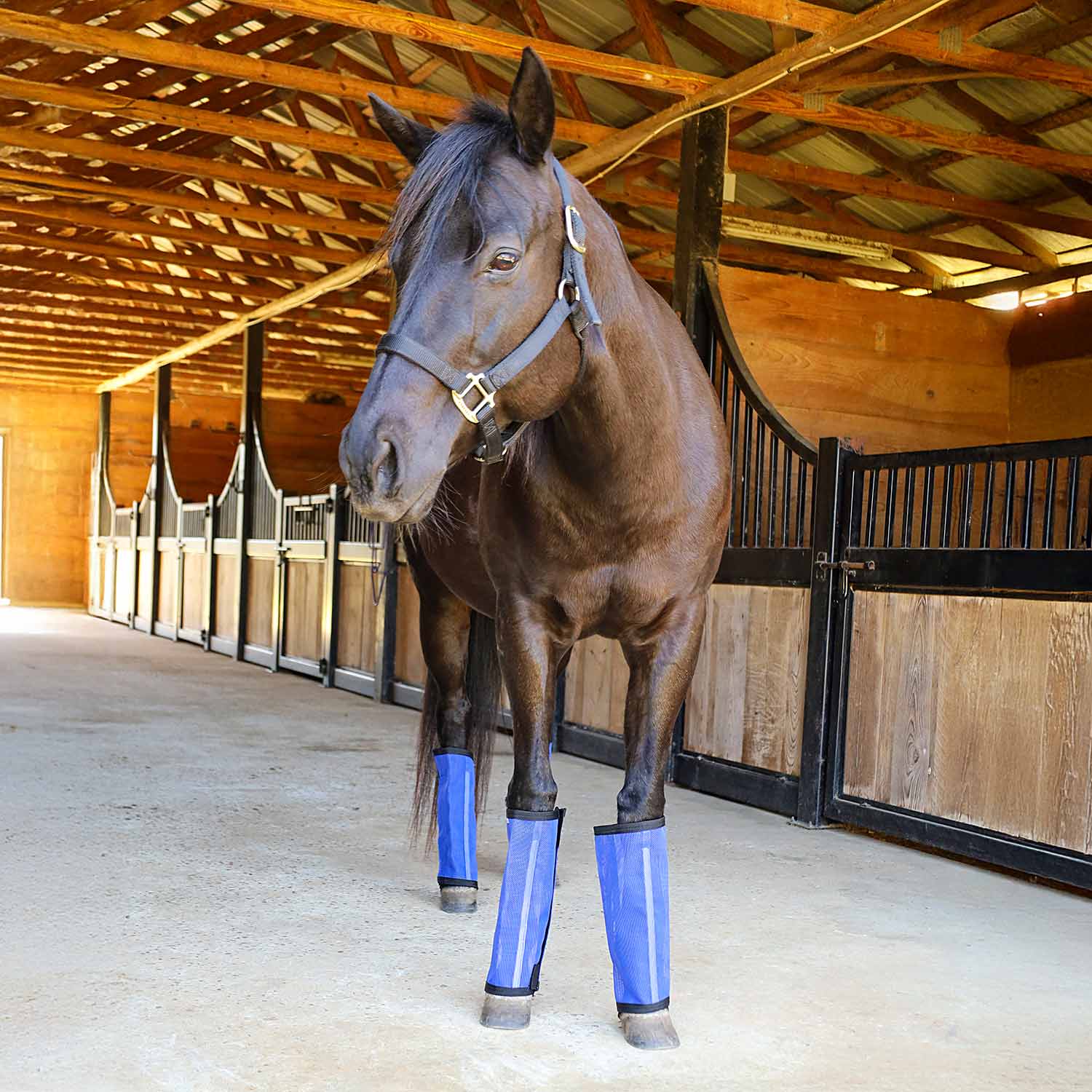 Jeffers Romper Stomper "Stomp-Free" Fly Boots for Horses, 4 pack - Image 14