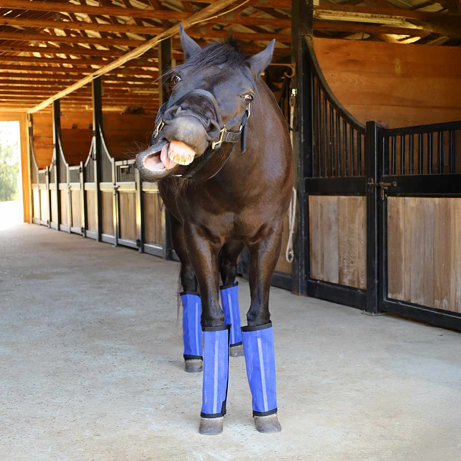 Jeffers Romper Stomper "Stomp-Free" Fly Boots for Horses, 4 pack - Image 16