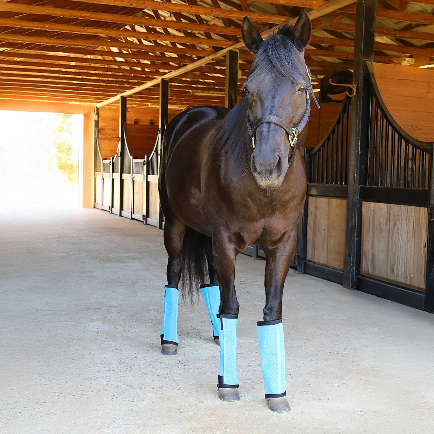 Jeffers Romper Stomper "Stomp-Free" Fly Boots for Horses, 4 pack - Image 6
