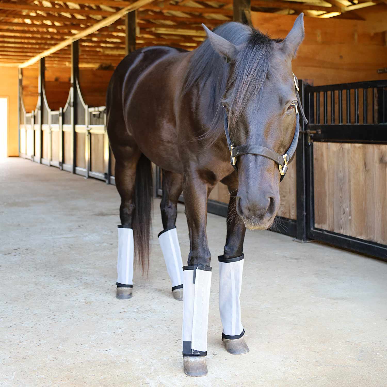 Jeffers Romper Stomper "Stomp-Free" Fly Boots for Horses, 4 pack - Image 9