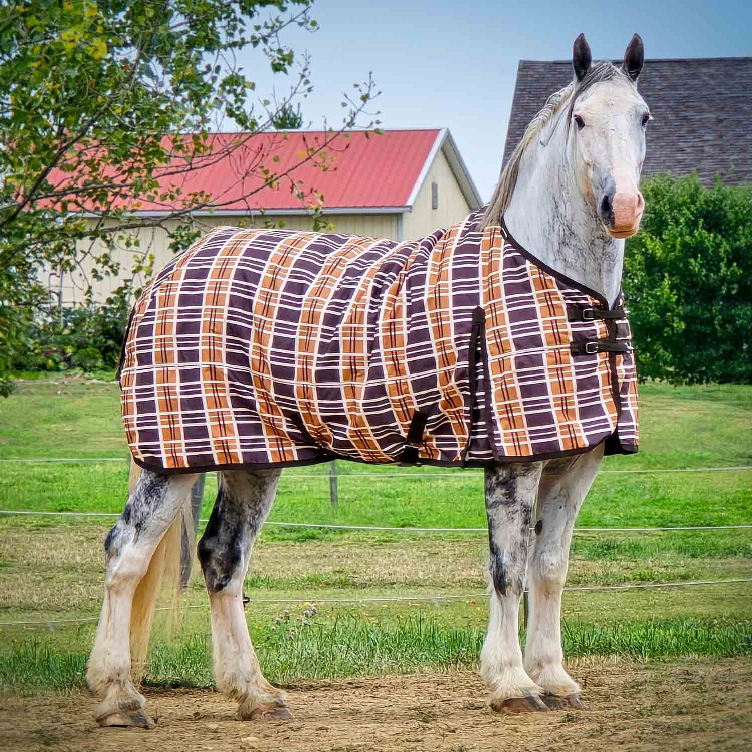 Jeffers Solaris 1200 Denier Draft Horse Turnout Sheet, 0g Fill, Brown & Cream Plaid