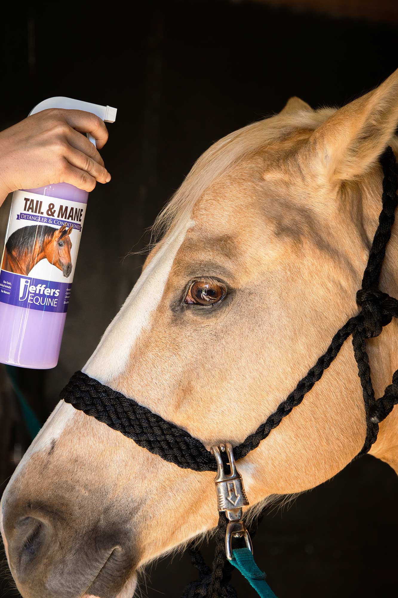 Jeffers Equine Tail & Mane Detangler and Conditioner for Horses - Image 4