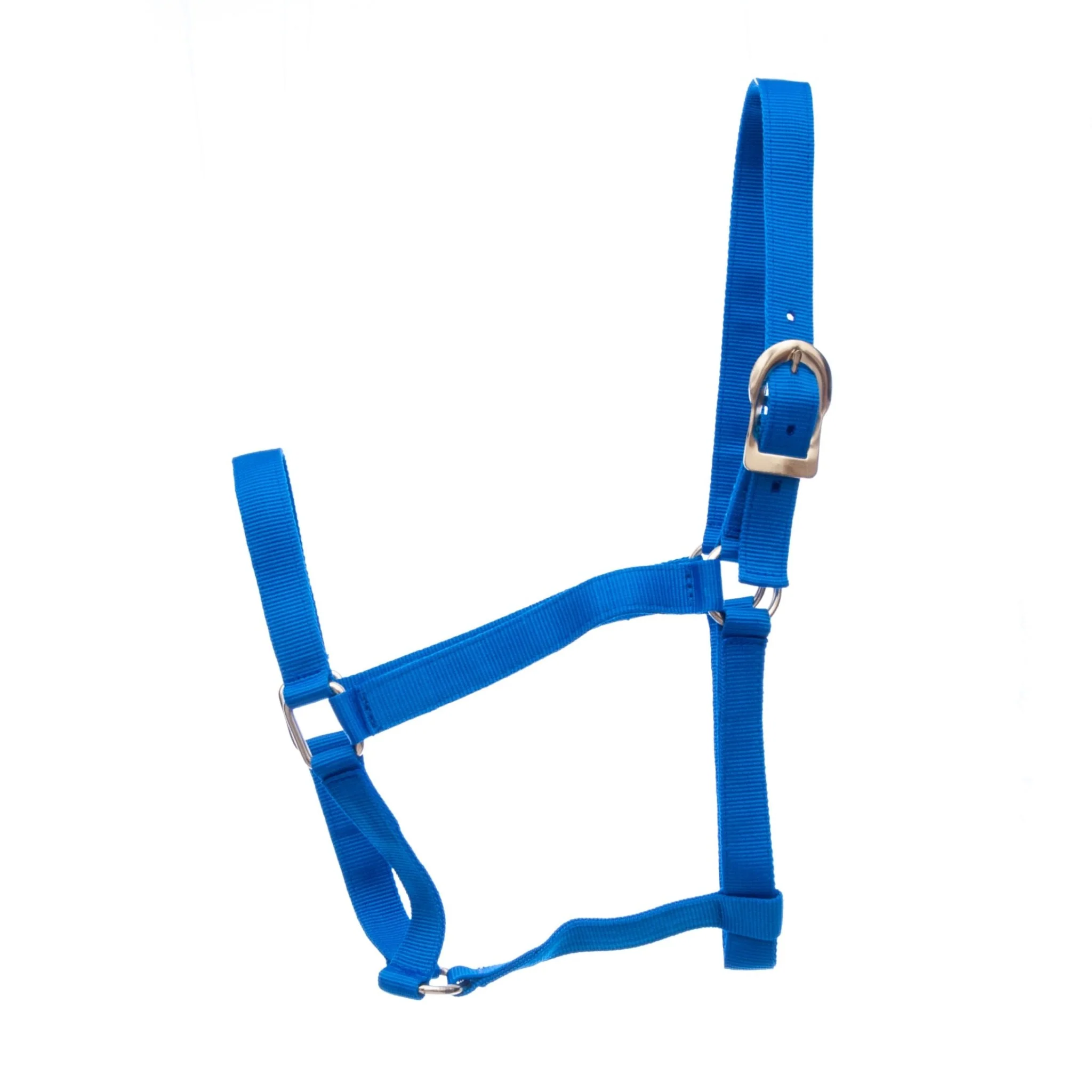 Jeffers Turnout Nylon Horse Halters, 2-Ply, 1" - Image 4