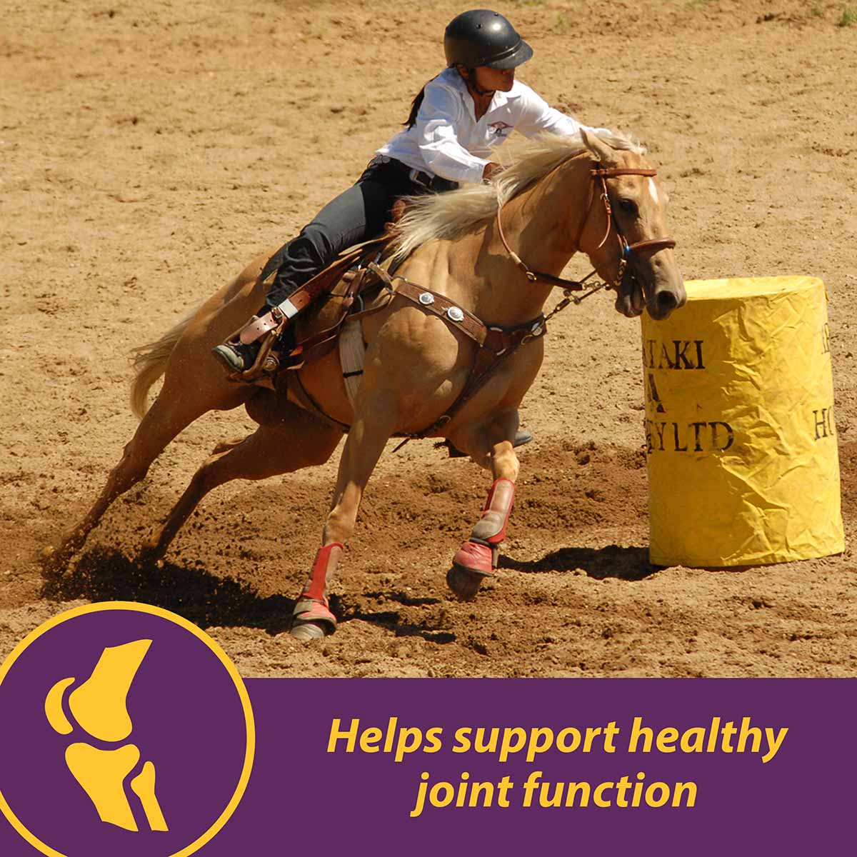 Joint Combo™ Pellets with Glucosamine and Chondroitin for Horses - Image 4