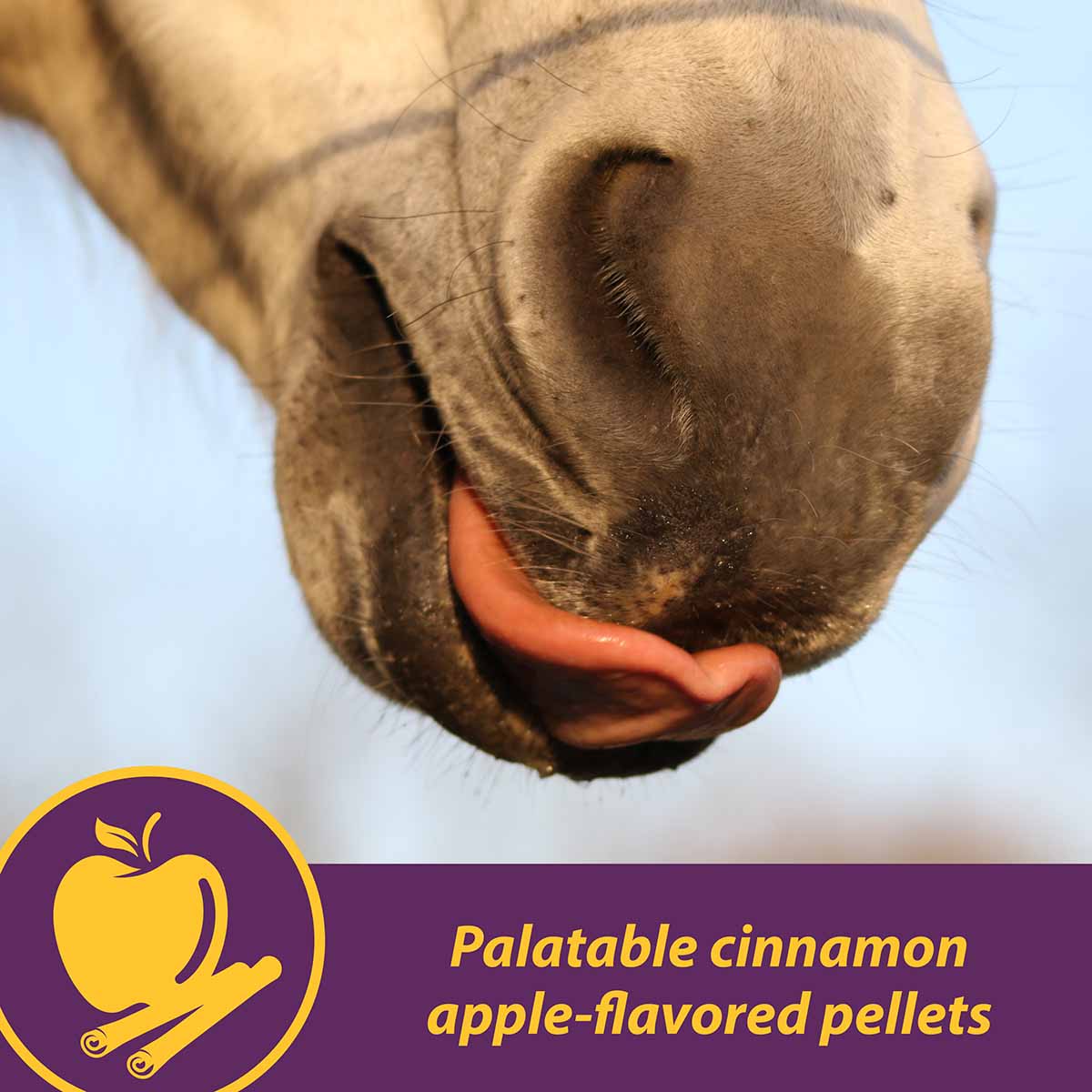 Joint Combo™ Pellets with Glucosamine and Chondroitin for Horses - Image 6
