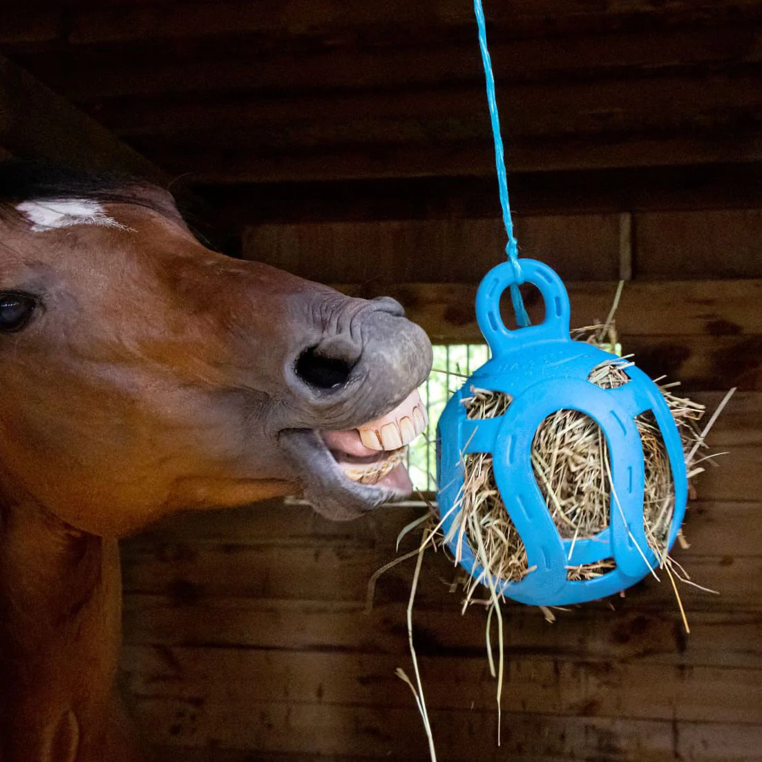 Jolly Hay Ball, 8" – Interactive Horse & Livestock Toy for Hay Feeding and Enrichment - Image 2