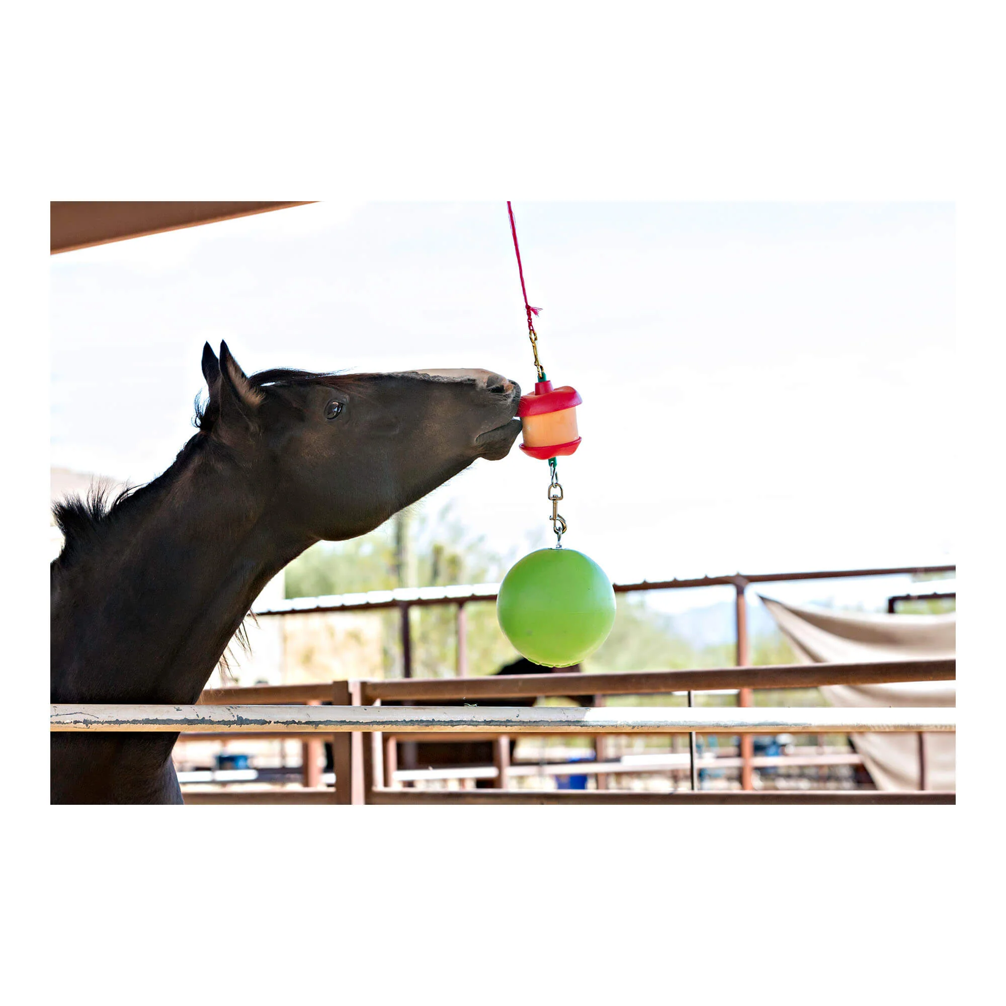 Jolly Stall Snack with Apple Combo – Interactive Apple-Scented Horse Toy & Treat Holder - Image 3