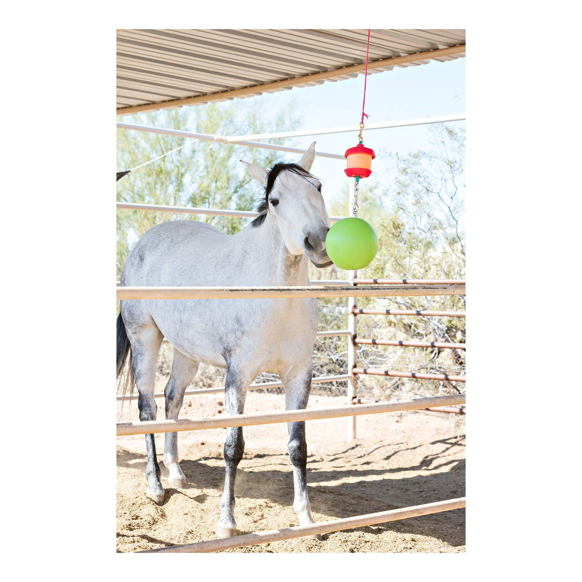 Jolly Stall Snack with Apple Combo – Interactive Apple-Scented Horse Toy & Treat Holder - Image 4