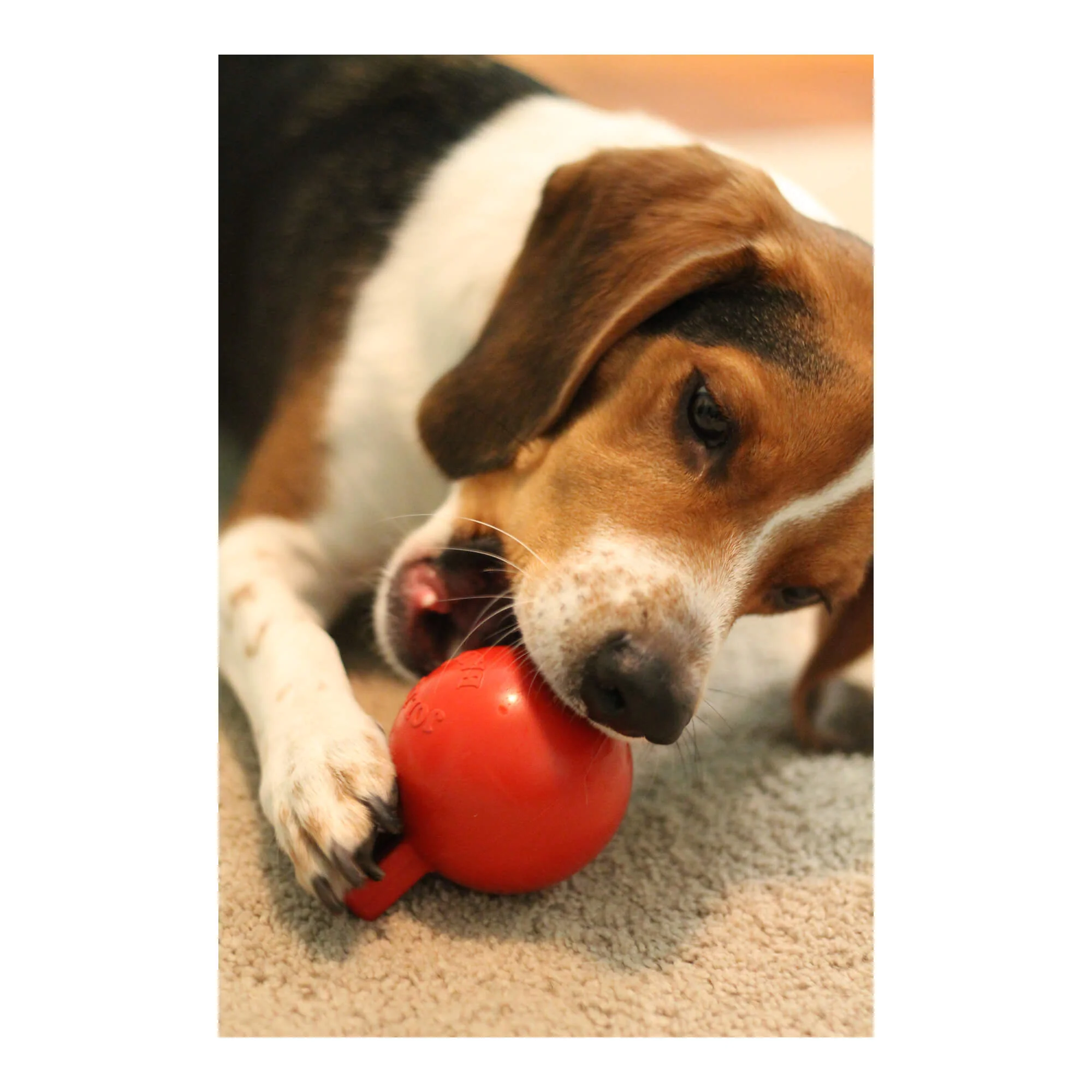 Jolly Tug-N-Toss Treat Dispensing Dog Toy, Mini - Image 3