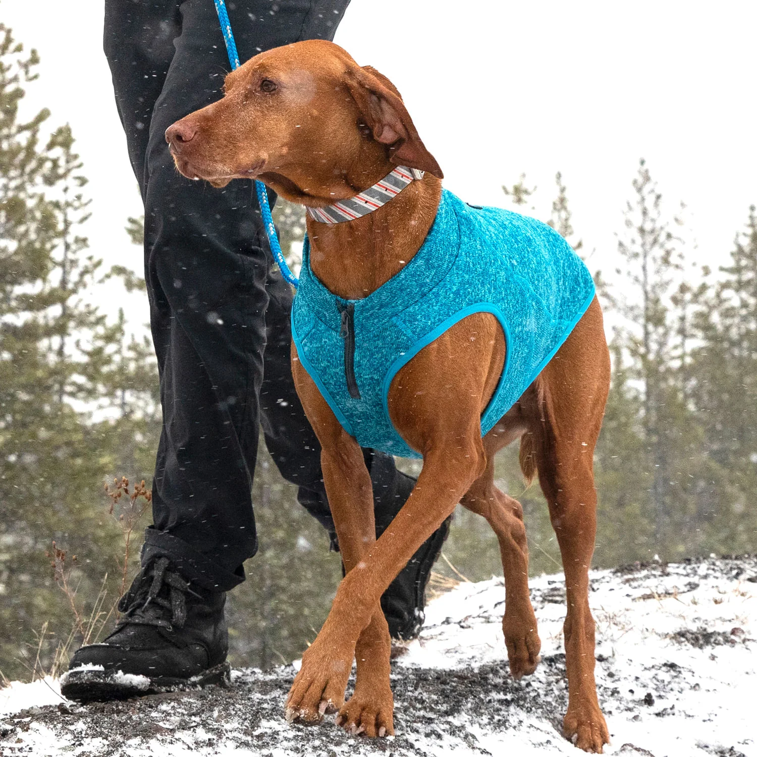 Kurgo K9 Core Dog Sweater - Image 13