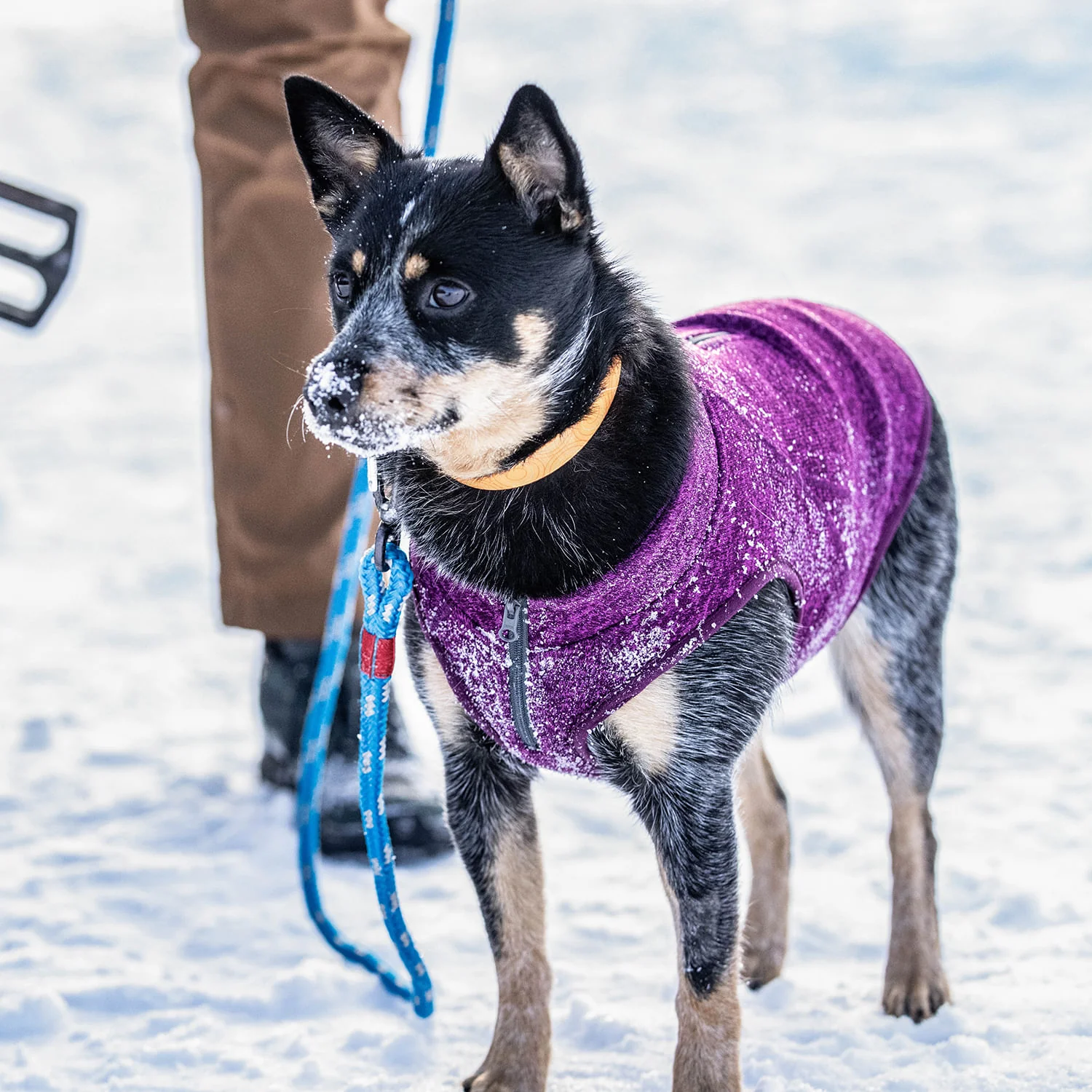 Kurgo K9 Core Dog Sweater - Image 32