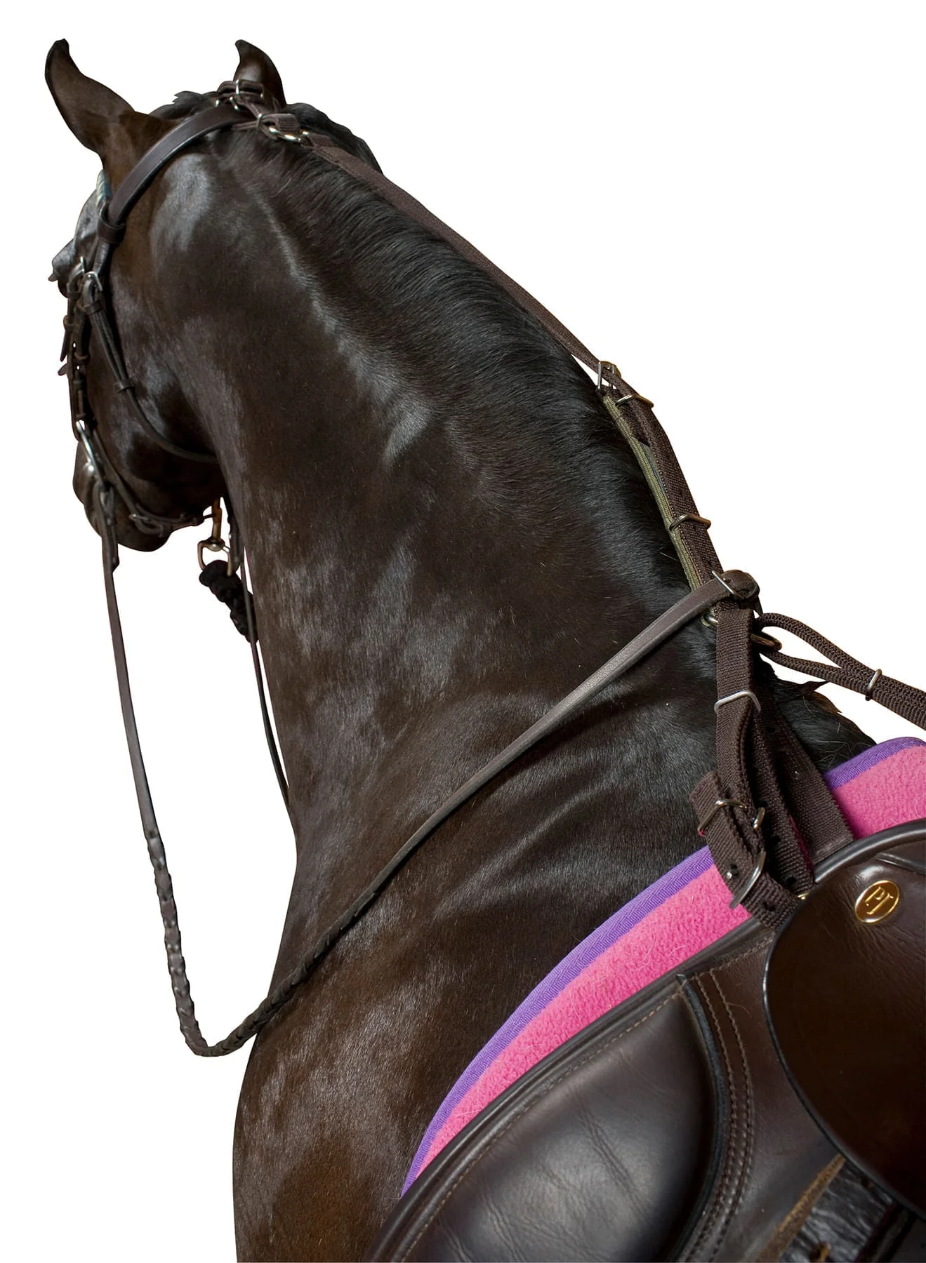 Kincade Anti-Grazing Strap for Horses - Image 2