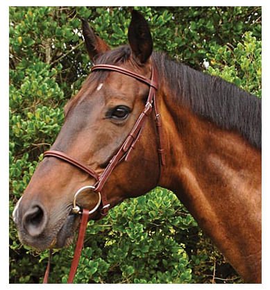 Weatherbeeta Kincade Plain Raised Bridle, Full