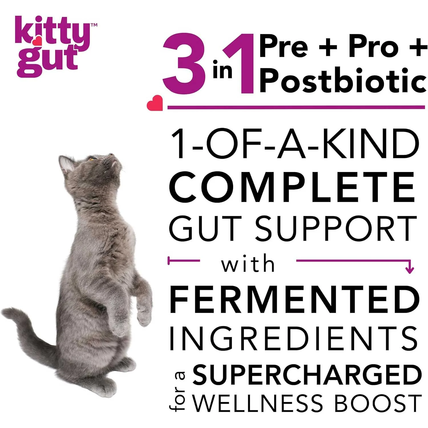 Kitty Gut 3-in-1 Pre + Pro + Postbiotic Supplement for Cats - Image 4
