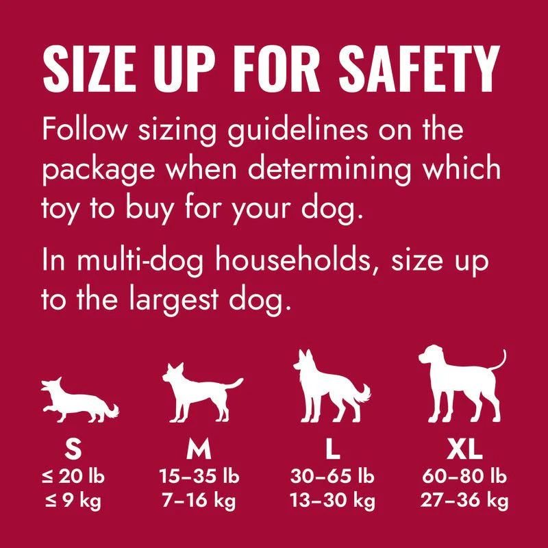 KONG Goodie Bone Rubber Dog Chew Toy, Medium - Image 5