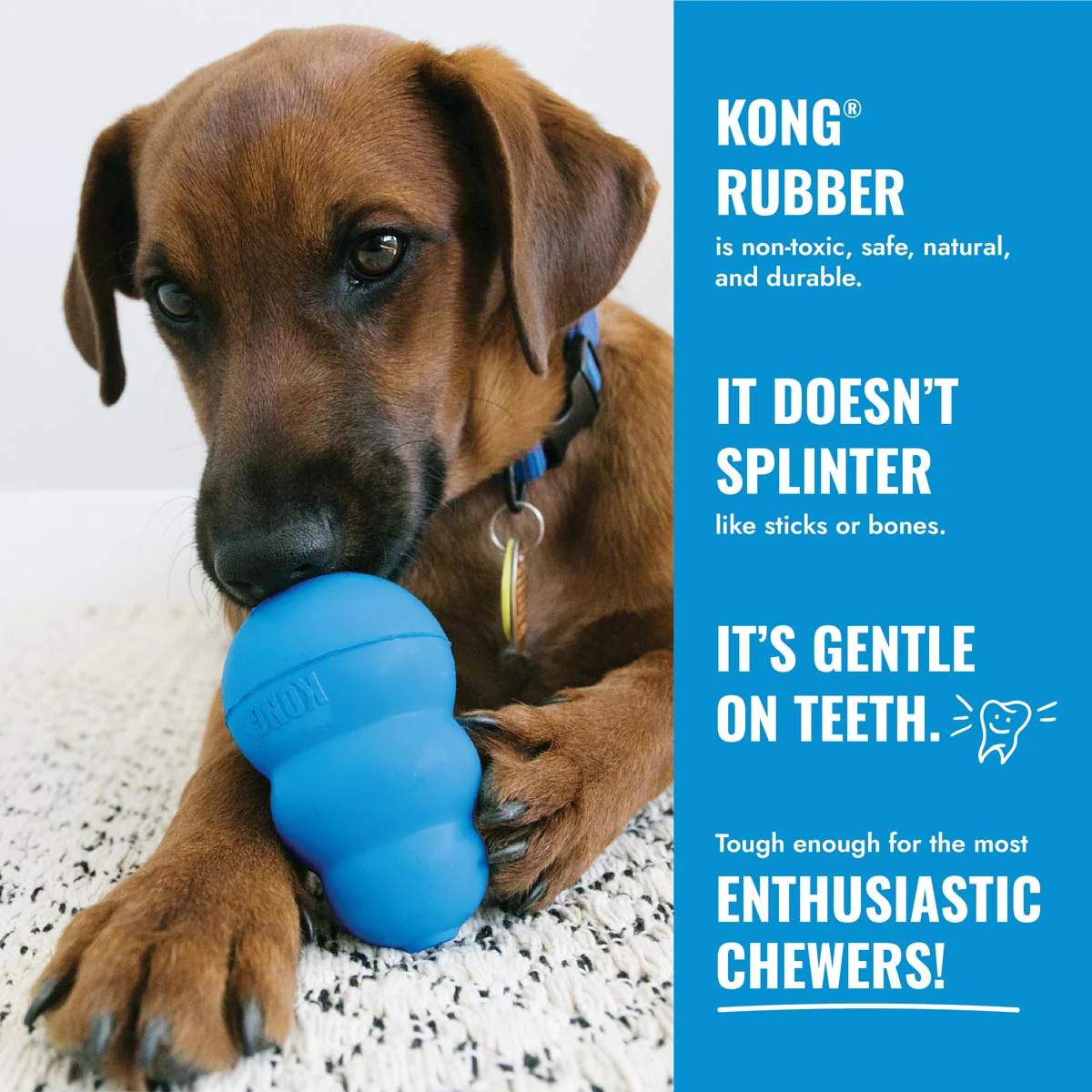KONG Puppy Goodie Bone Treat Dispensing Dog Chew Toy – Soft Rubber Teething Toy for Puppies - Image 7