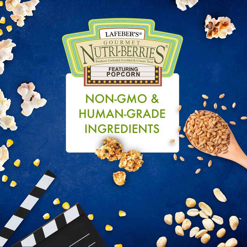 LafeberĀ® Popcorn Nutri-BerriesĀ® Treats for Cockatiels & Parrots, 4 oz - Image 4