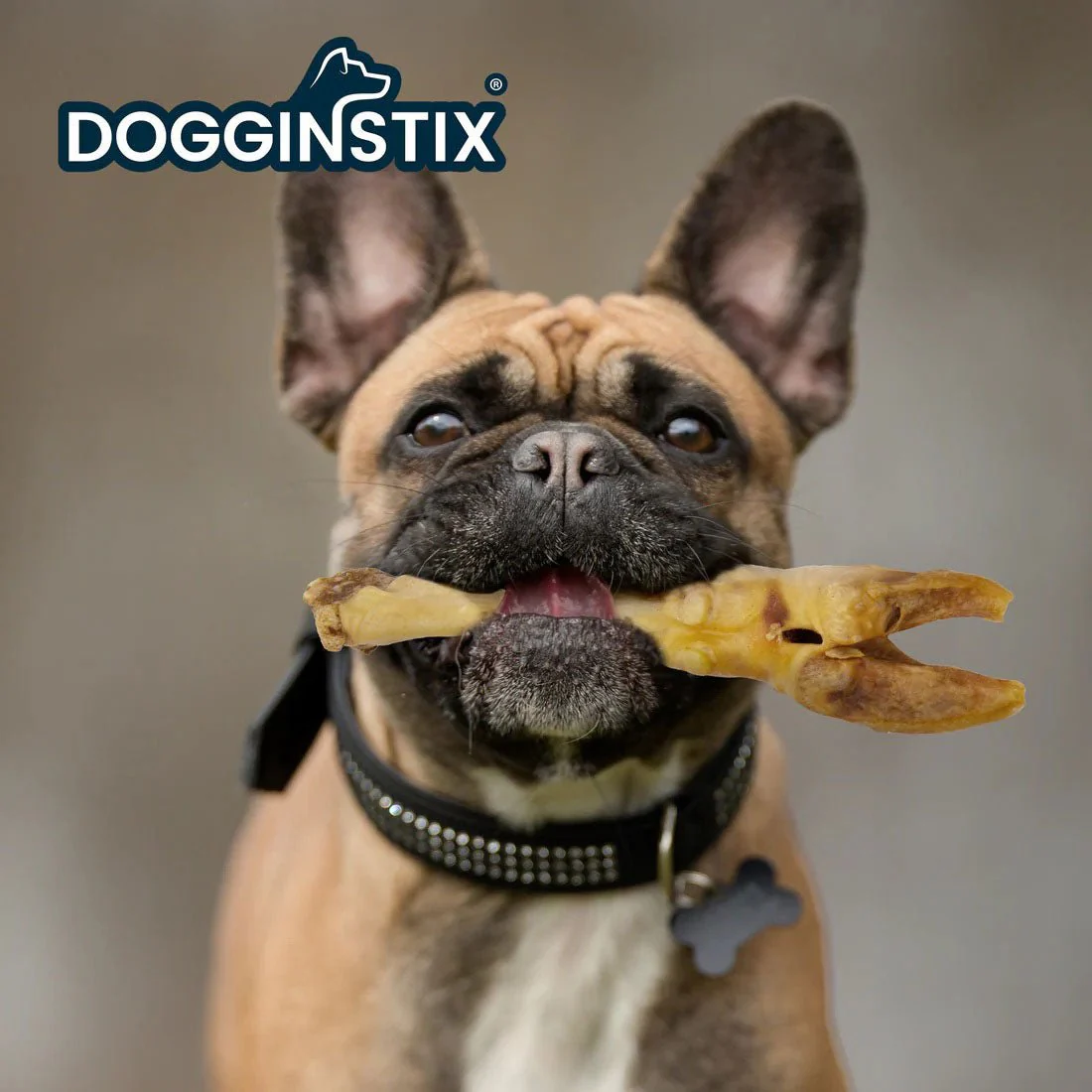 Dogginstix Lamb Foot Chew Dog Treat – Four Treats in One, Ideal for Small to Medium Dogs - Image 3