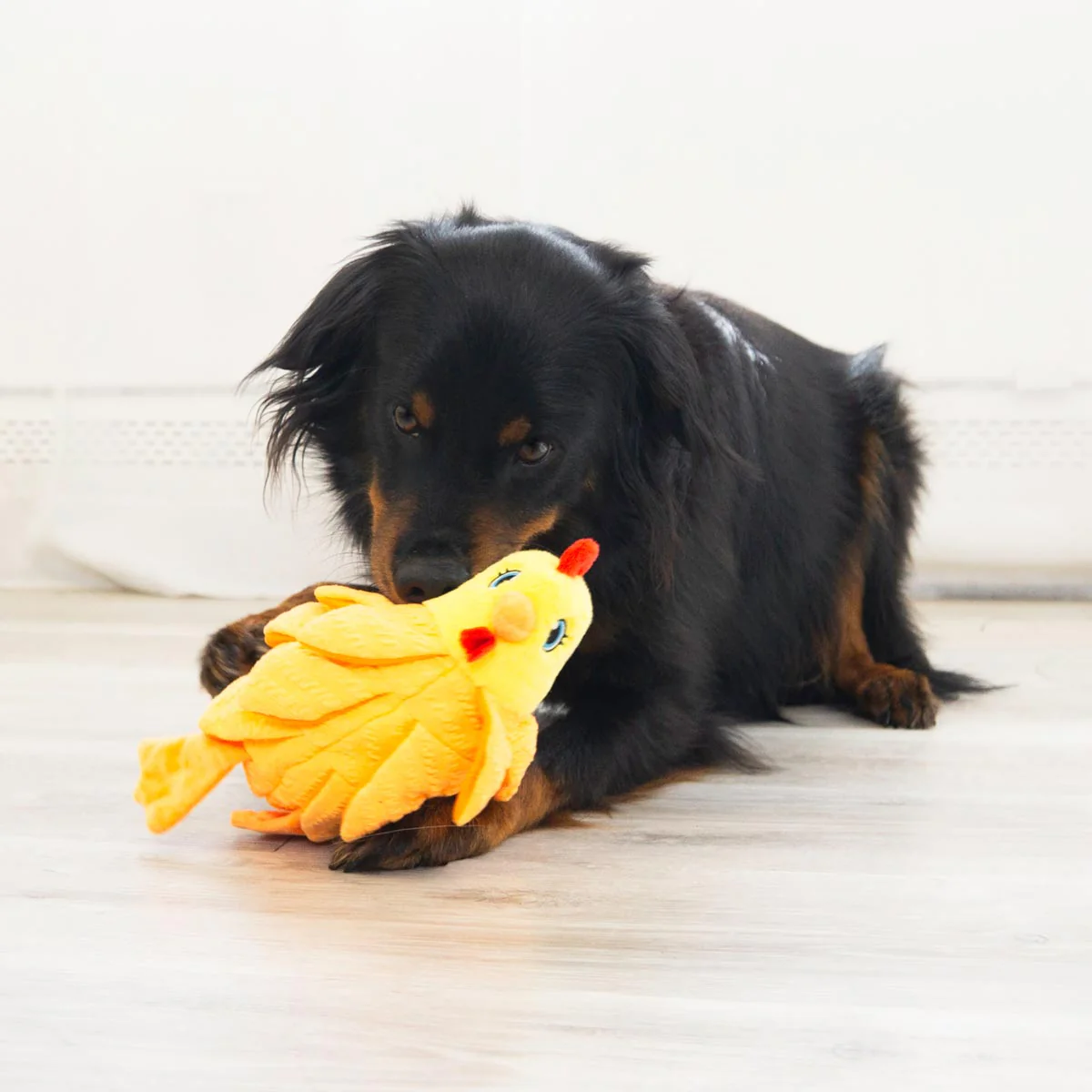 KONG Layerz Forage Animal Plush Dog Toy – Treat Puzzle with Squeaker & Crinkle - Image 18