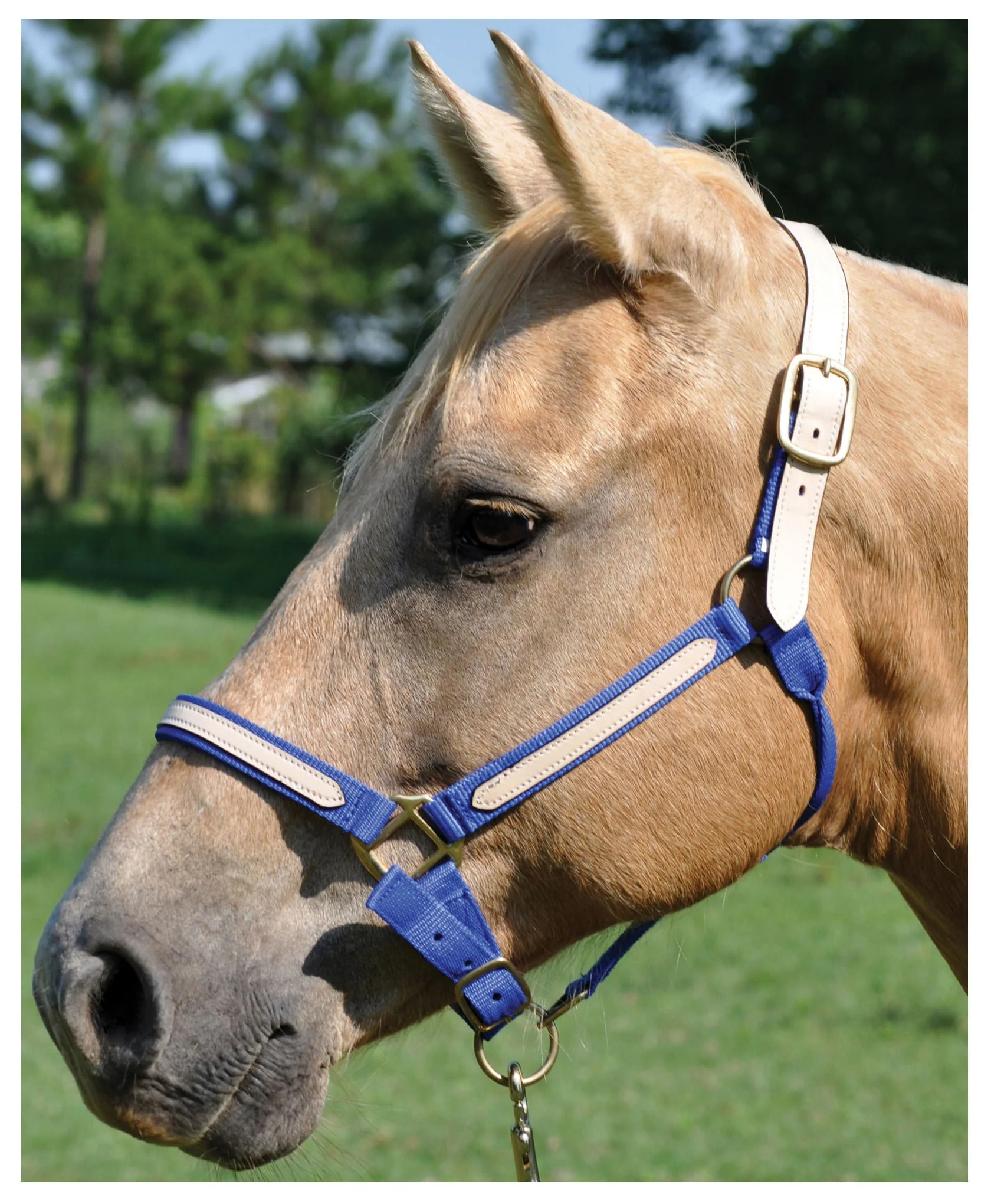 Tough1 Leather Overlay Breakaway Horse Nylon Halter - Image 20