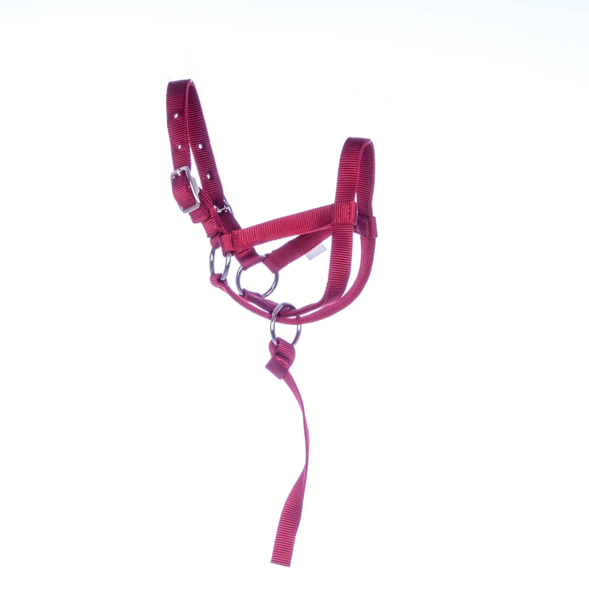 Jeffers Nylon Llama Halter with Catch Strap - Image 2