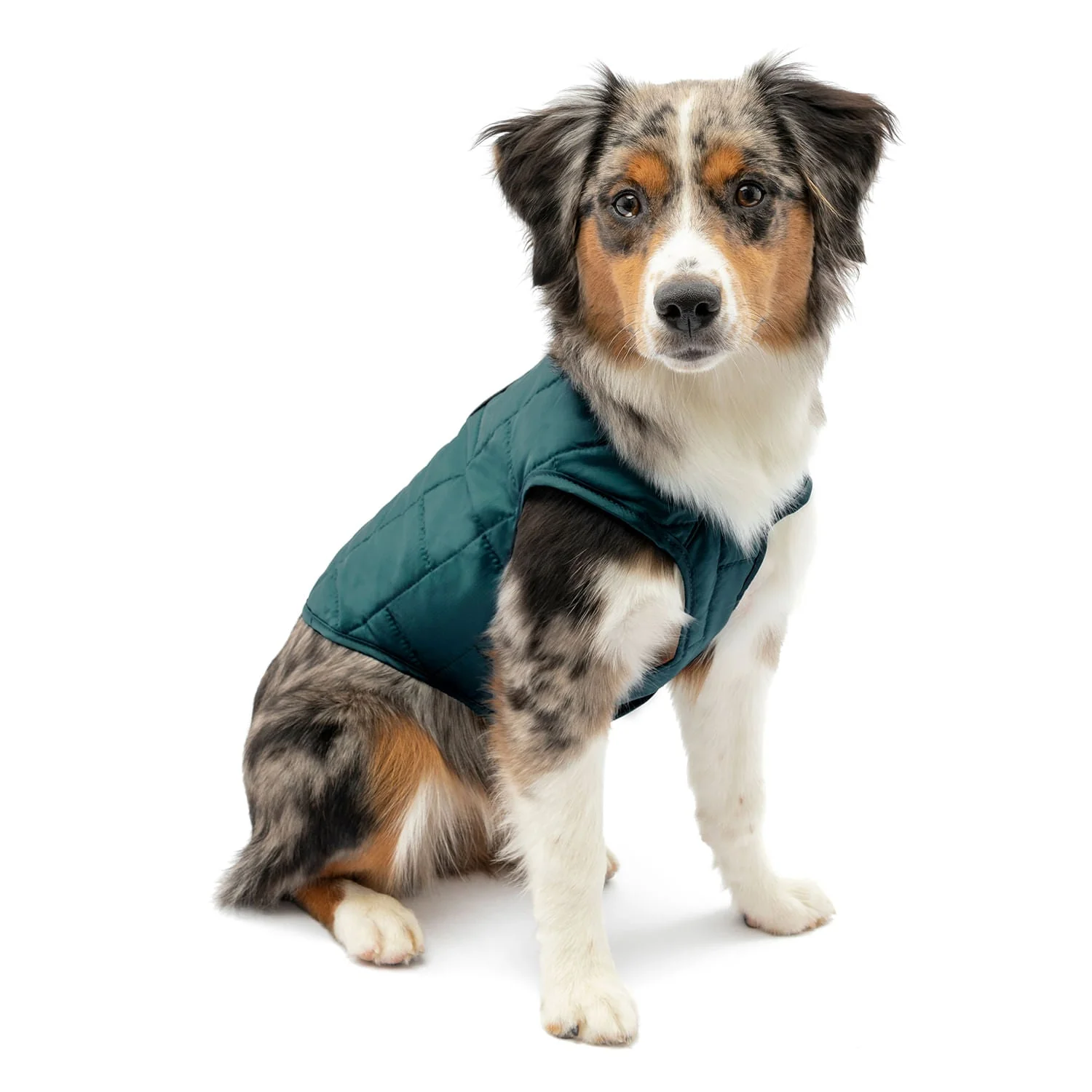 Kurgo Reversible Loft Jacket - Image 14