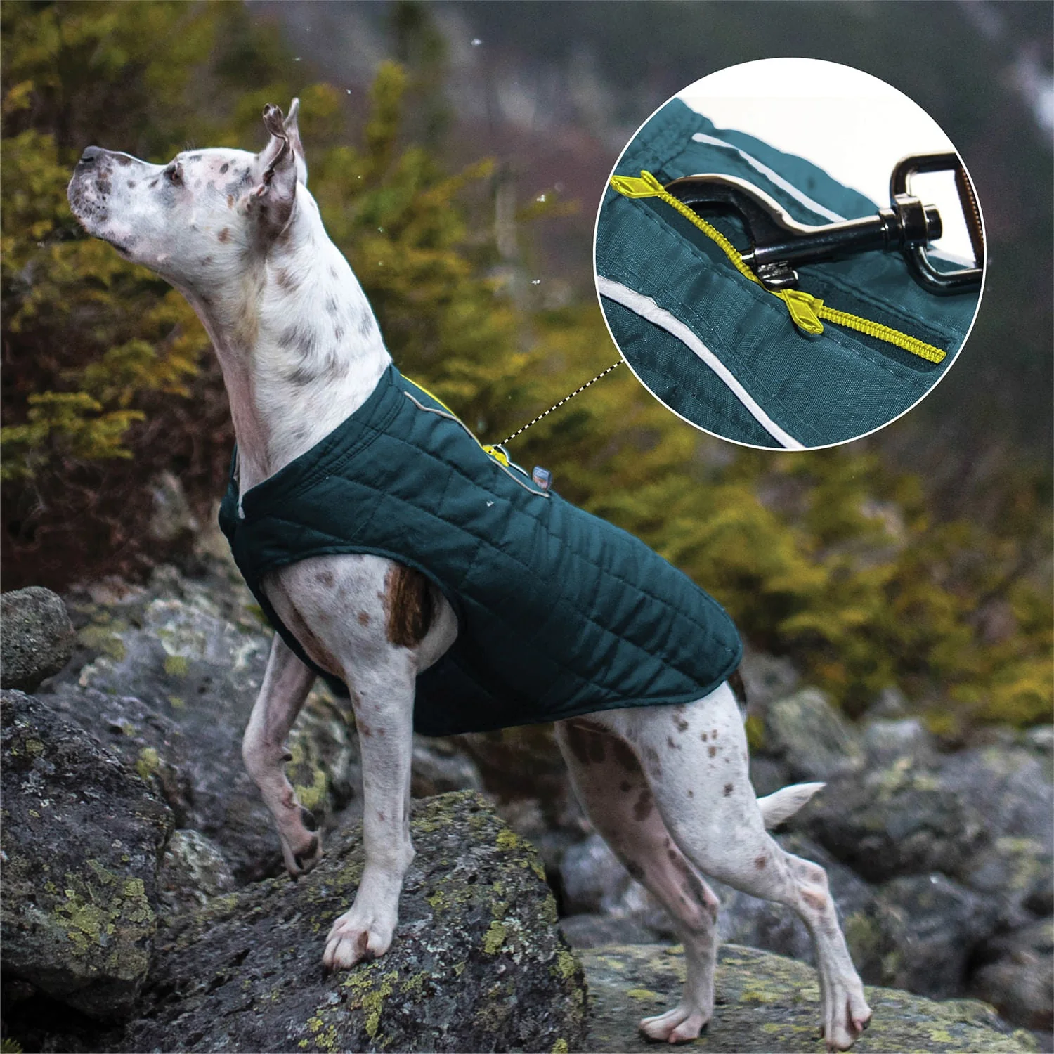 Kurgo Reversible Loft Jacket - Image 17