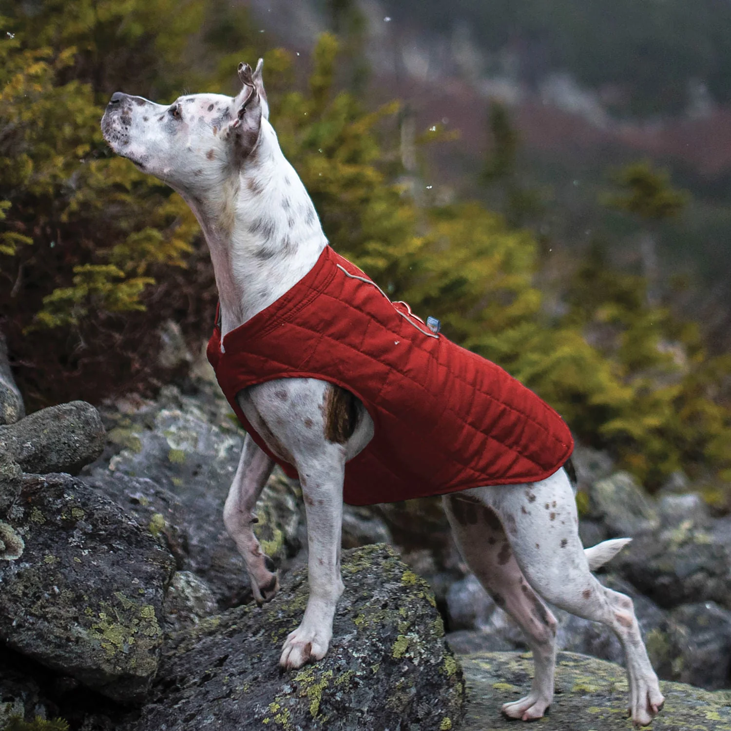 Kurgo Reversible Loft Jacket - Image 27
