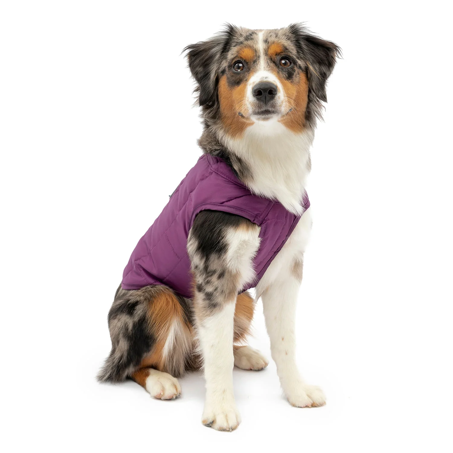 Kurgo Reversible Loft Jacket - Image 36
