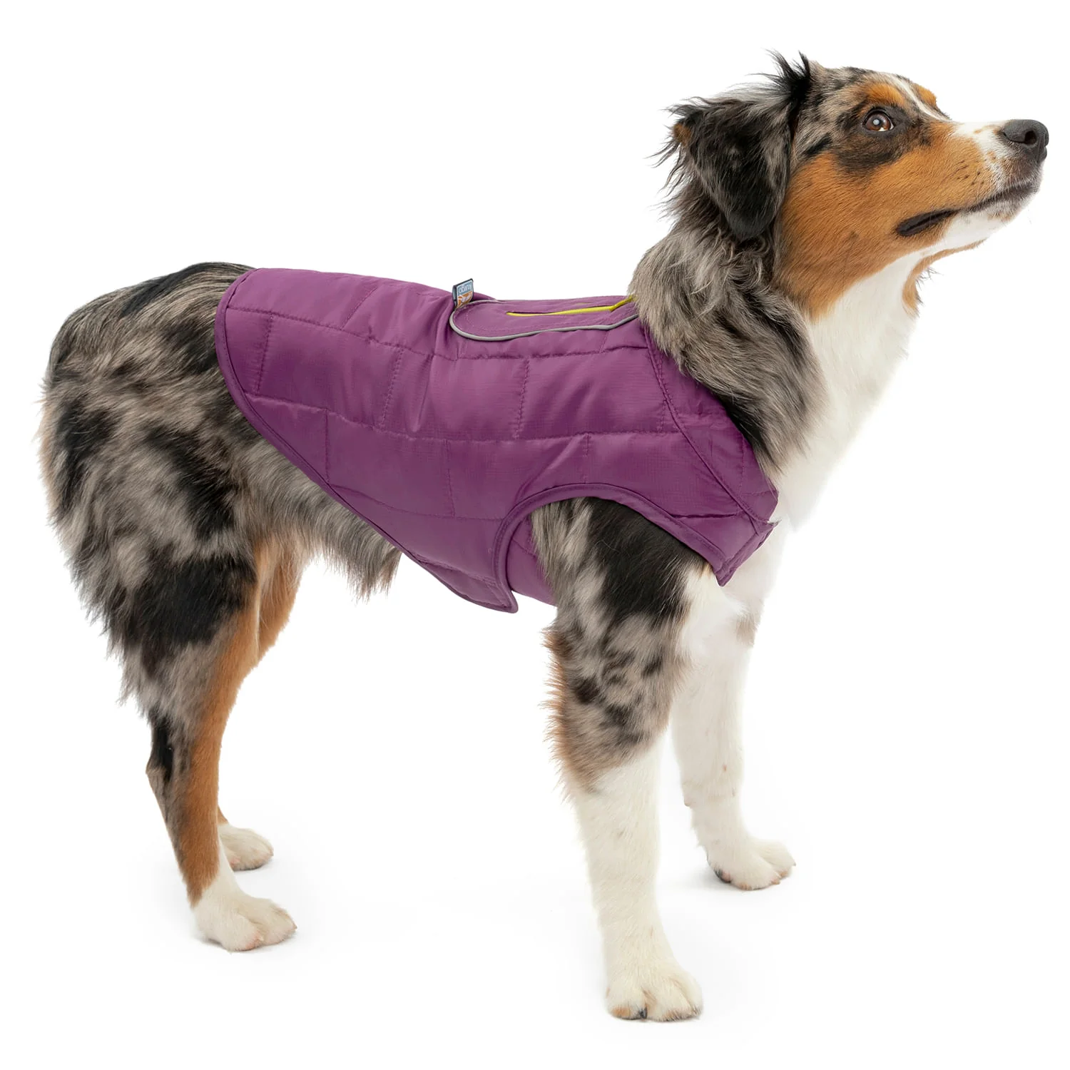 Kurgo Reversible Loft Jacket - Image 37