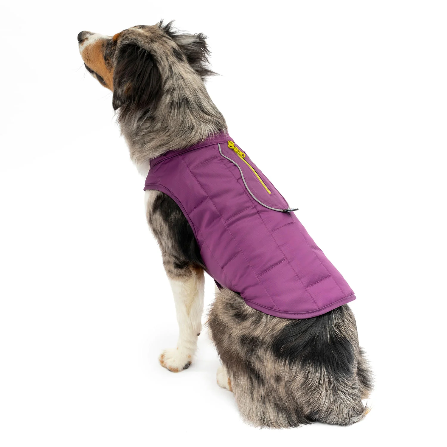 Kurgo Reversible Loft Jacket - Image 38