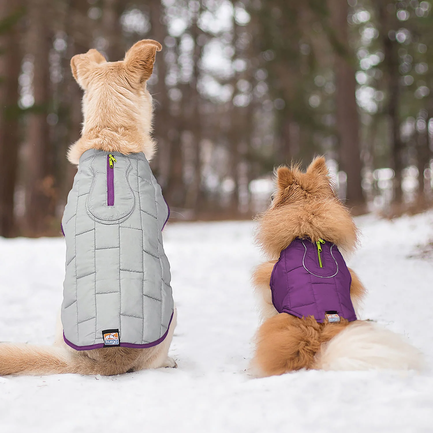 Kurgo Reversible Loft Jacket - Image 40