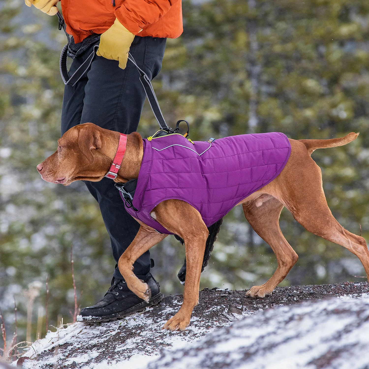 Kurgo Reversible Loft Jacket - Image 42