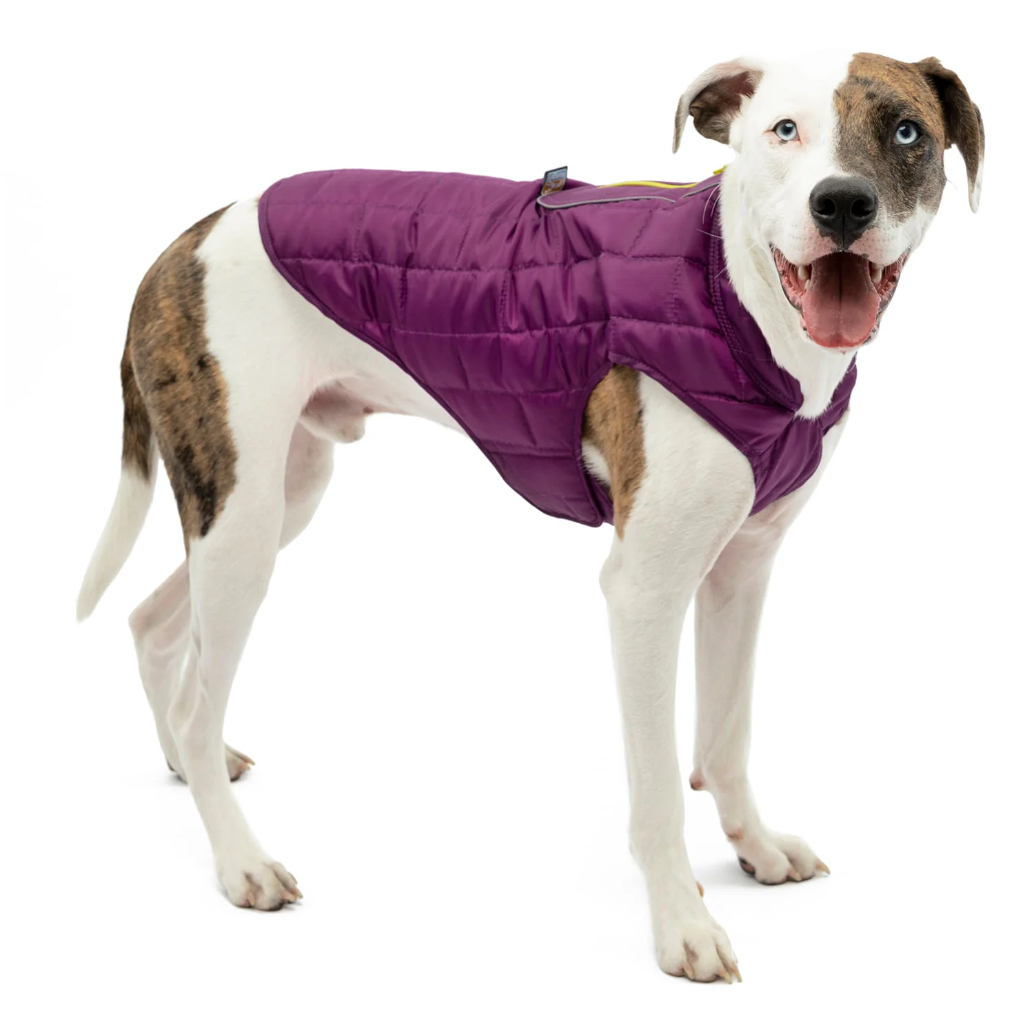 Kurgo Reversible Loft Jacket - Image 47
