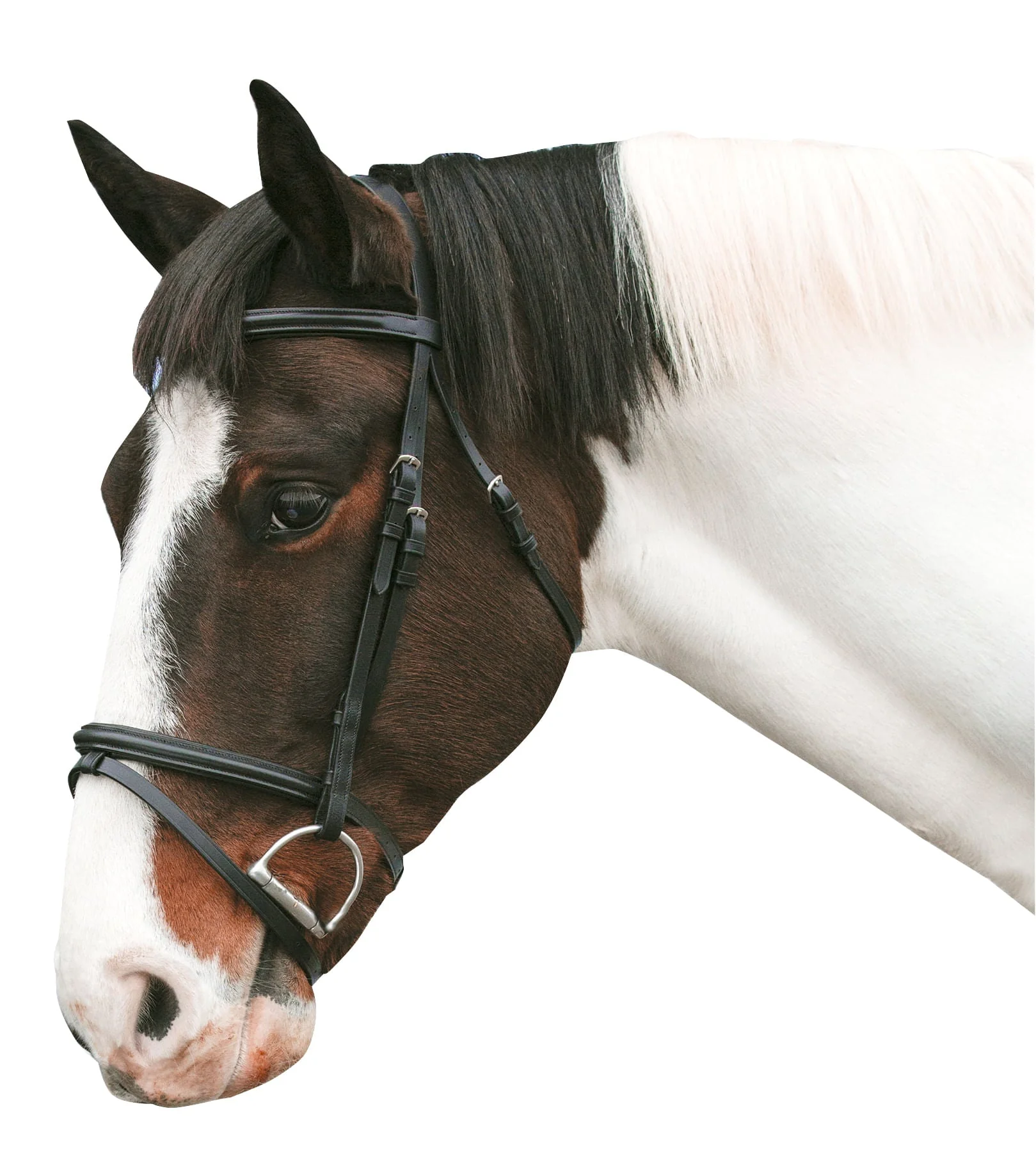 Loveson Horse Bridle - Image 2