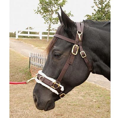 Jeffers Lunging Cavesson with Fleece-Lined Nose for Horses, 800-1200 lbs
