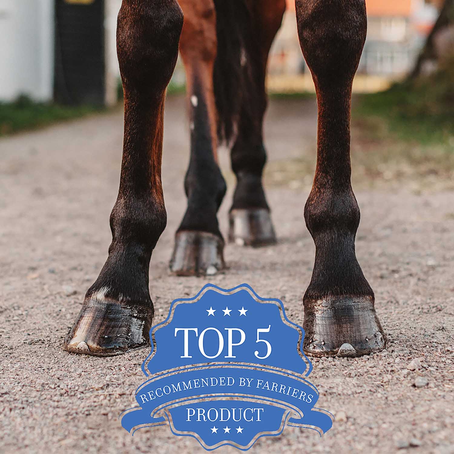 Hooflex Magic Cushion Hoof Packing for Horses - Image 13