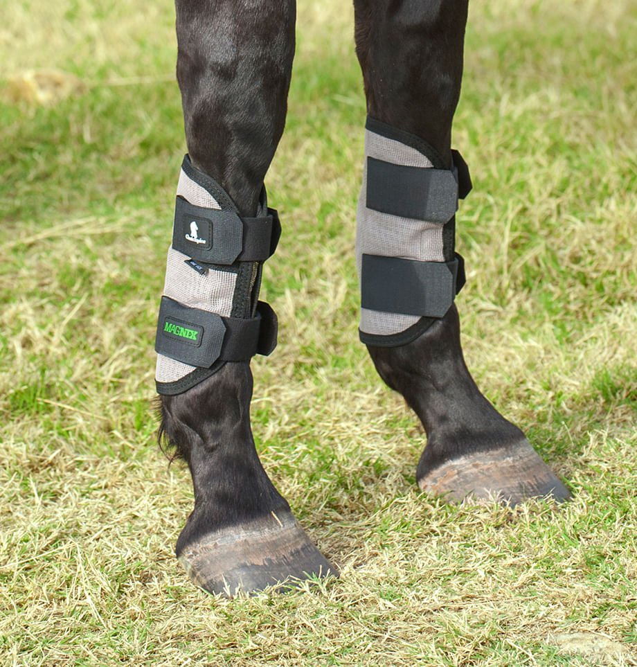 Classic Equine MagNTX Magnetic Horse Therapy Tendon Wraps, Pair