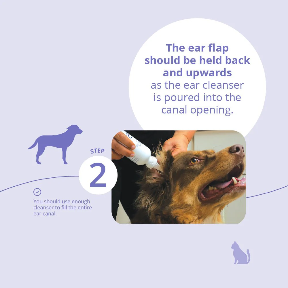 Malaseb Flush – Medicated Antibacterial & Antifungal Skin Flush for Dogs, Cats, and Horses - Image 5